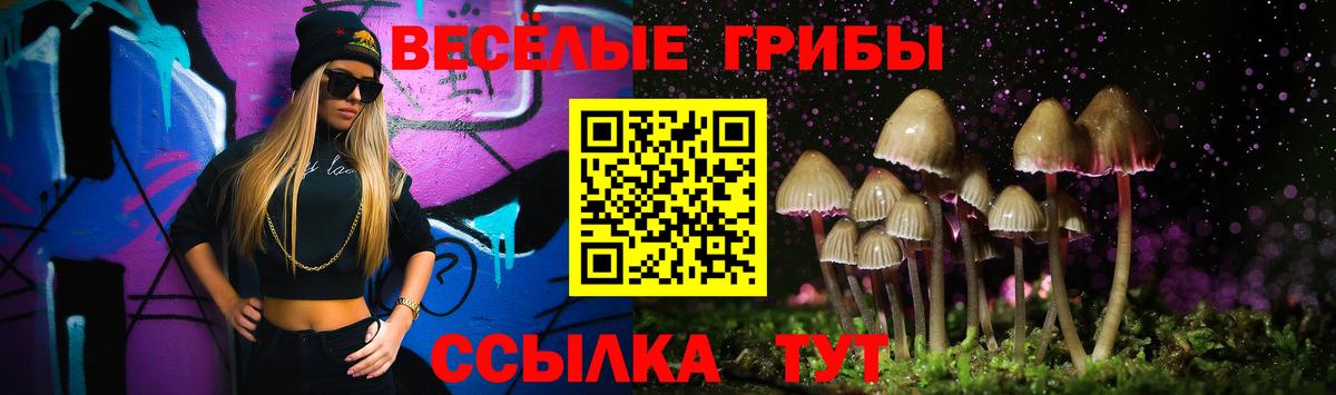Псилоцибиновые грибы мицелий Шарыпово